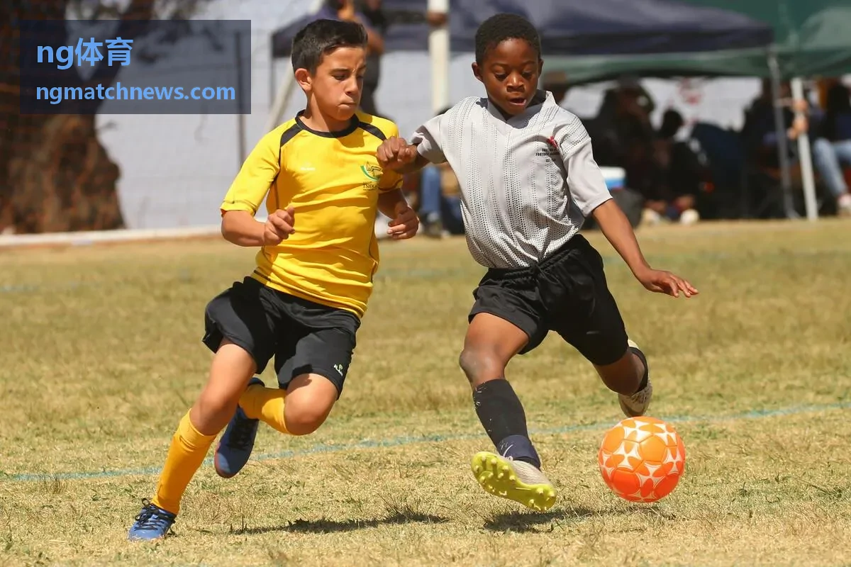 ng体育赛程日历频道